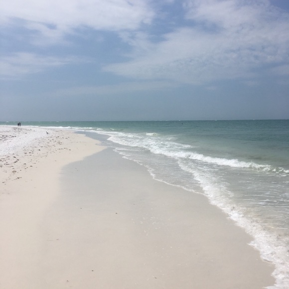 Meet your Posher, Brittany - Picture 1 of 1